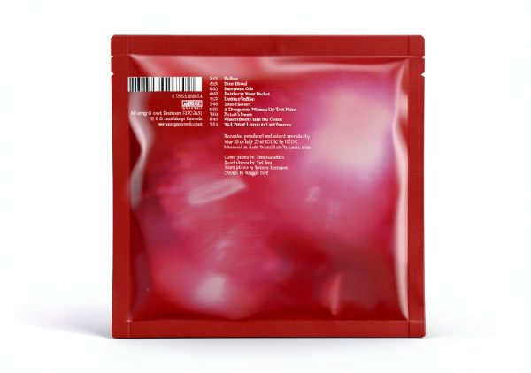 Merge Records English Chamber Pop CD-1